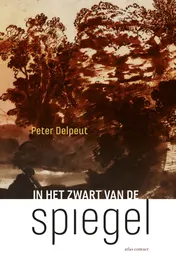 Omslag van In het zwart van de spiegel