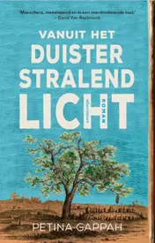 Omslag van Vanuit het duister stralend licht