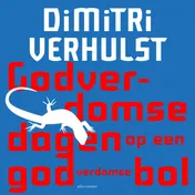 Omslag van Godverdomse dagen op een godverdomse bol