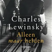 Omslag van Alleen maar helden