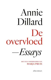 Omslag van De overvloed