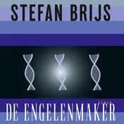 Omslag van De engelenmaker