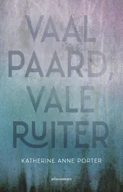 Omslag van Vaal paard, vale ruiter