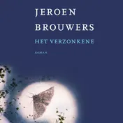 Omslag van Het verzonkene