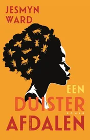 Omslag van Een duister afdalen
