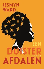 Omslag van Een duister afdalen