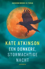Omslag van Een donkere, stormachtige nacht