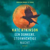 Omslag van Een donkere, stormachtige nacht