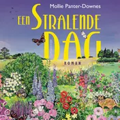 Omslag van Een stralende dag