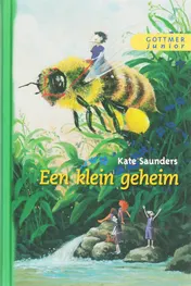Omslag van Een klein geheim