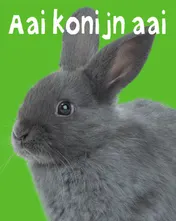 Omslag van Aai konijn aai