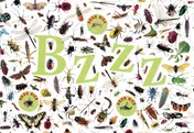 Omslag van Bzzz