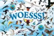 Omslag van Woesssj