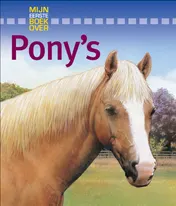 Omslag van Pony's