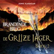 Omslag van De brandende brug