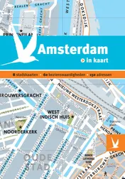Omslag van Amsterdam in kaart
