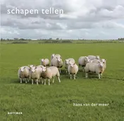 Omslag van Schapen tellen