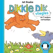 Omslag van Vliegles