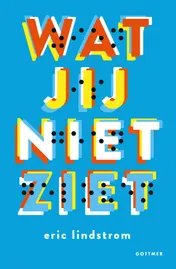 Omslag van Wat jij niet ziet