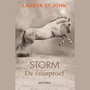 Omslag van De vuurproef