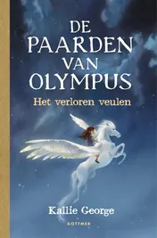 Omslag van Het verloren veulen