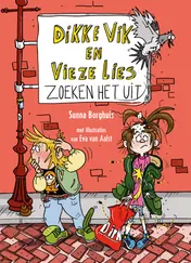 Omslag van Dikke Vik en Vieze Lies zoeken het uit