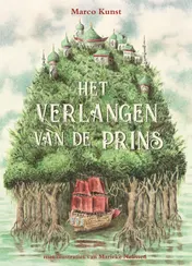 Omslag van Het verlangen van de prins