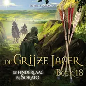 Omslag van De hinderlaag bij Sorato