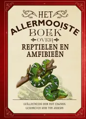 Omslag van Het allermooiste boek over reptielen en amfibieën