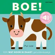 Omslag van Boe!