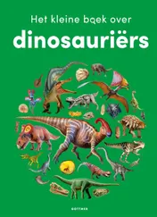Omslag van Het kleine boek over dinosauriërs