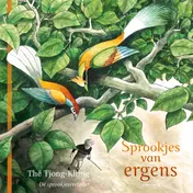 Omslag van Sprookjes van ergens