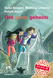 Omslag van Het grote geheim