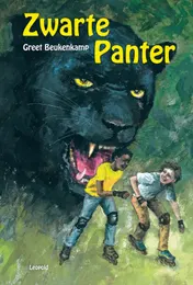 Omslag van Zwarte panter