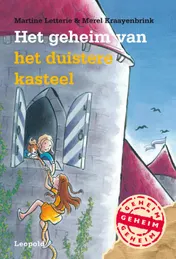 Omslag van Het geheim van het duistere kasteel
