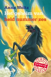 Omslag van Het geheim van held nummer zes