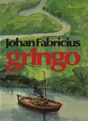Omslag van Gringo