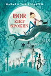 Omslag van Bor ziet spoken