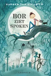 Omslag van Bor ziet spoken