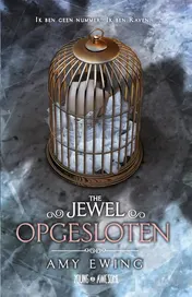 Omslag van Opgesloten