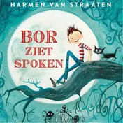 Omslag van Bor ziet spoken