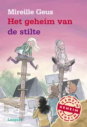 Omslag van Het geheim van de stilte