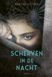 Omslag van Scherven in de nacht