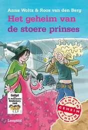 Omslag van Het geheim van de stoere prinses