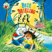Omslag van Boze drieling