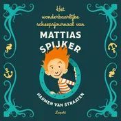 Omslag van Het wonderbaarlijke scheepsjournaal van Mattias Spijker