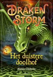 Omslag van Drakenstorm 3 - Het duistere doolhof