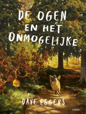 Omslag van De ogen en het onmogelijke