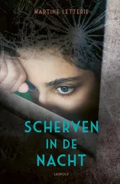 Omslag van Scherven in de nacht