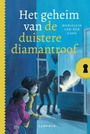 Omslag van Het geheim van de duistere diamantroof